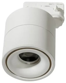 LED svietidlo do lišty Costa Track 3Line 12W 3000K biele