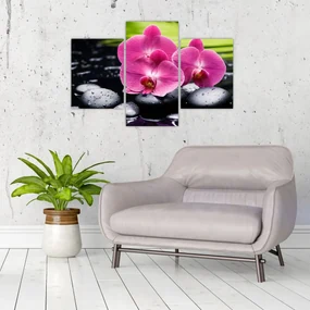 Obraz - Ružové orchidey s palmovým listom (90x60 cm)
