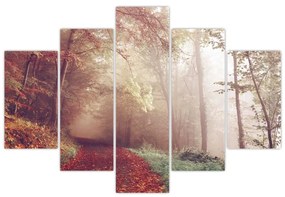 Obraz - Jesenná prechádzka lesom (150x105 cm)