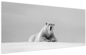 Obraz - Ľadový medveď (120x50 cm)