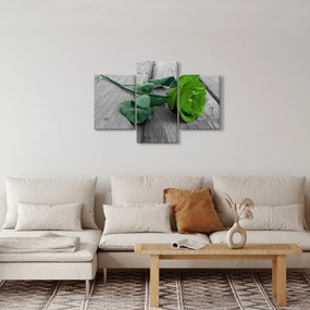 Obraz - Zelená ruža (90x60 cm)
