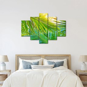 Obraz - Palmové listy (150x105 cm)