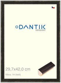 DANTIK rám na obraz 29,7x42 | Mosa tm.šedá (Plexi Čiré)