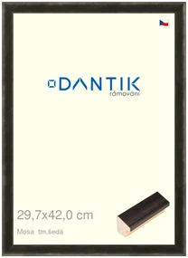 DANTIK rám na obraz 29,7x42 | Mosa tm.šedá (Plexi Čiré)