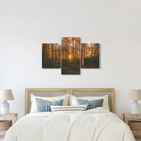 Obraz jesenného lesa (90x60 cm)