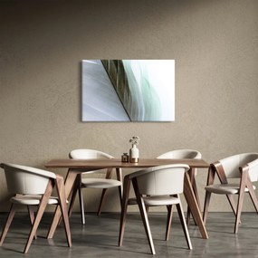 Obraz - Perie, makro (90x60 cm)