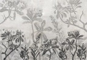 Fototapeta - Rastliny v betóne (147x102 cm)