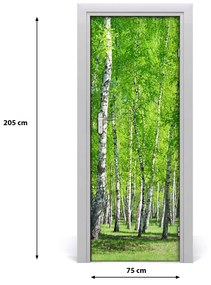 Fototapeta na dvere samolepiace Břízová les 75x205 cm