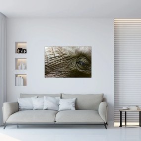 Obraz - Detailné fotografie starého slonieho oka (90x60 cm)