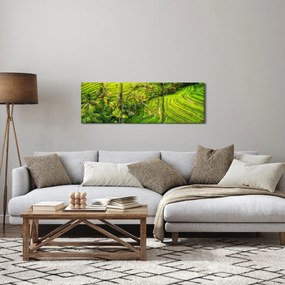 Obraz - Ryžové terasy (s hodinami) (90x30 cm)