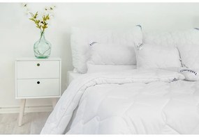 Stanex zimná prikrývka Thermo Luxus 220x240 cm 4020 g