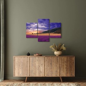 Obraz levanduľovej lúky (90x60 cm)