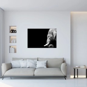 Obraz - Slon (90x60 cm)