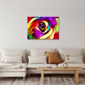 Obraz - Farebná ruža (70x50 cm)