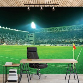 Fototapeta - Futbalové ihrisko (152,5x104 cm)