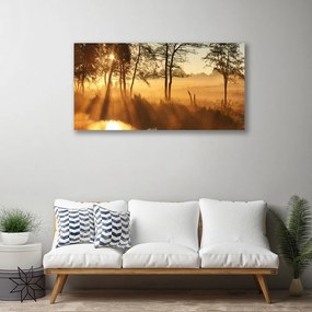 Obraz na plátne Stromy príroda 120x60 cm