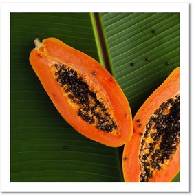 Obraz na plátně Ovocné listy papáji - 40x40 cm