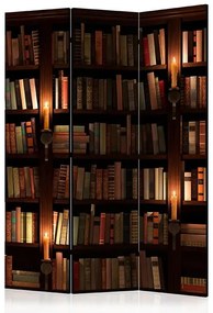 Paraván - Bookshelves [Room Dividers]