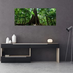 Obraz - Korene stromu (120x50 cm)