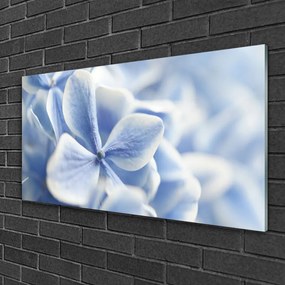 Skleneny obraz Kvety plátky príroda 125x50 cm