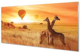 Obraz na skle Balóny neba žirafa 100x50 cm