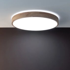 Brilliant - LED stmievané stropné svietidlo SLIMLINE LED/60W/230V + diaľkové ovládanie
