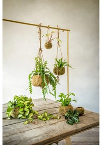 Kvetináč ø 20 cm Kokedama – Esschert Design