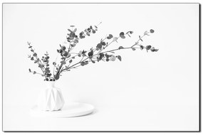 Obraz na plátne - Vetva eukalyptu v bielej váze na bielom pozadí 1272QA (120x80 cm)