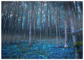 Sklenený obraz - Magický les (70x50 cm)