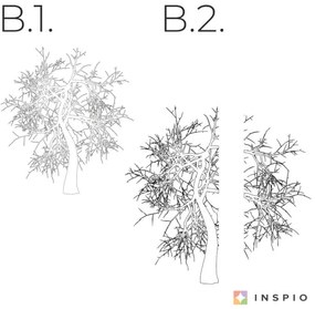 Nálepka na stenu - Rozkonárený strom