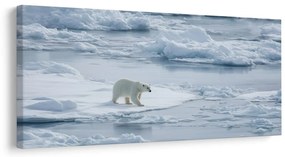 Obraz polárny medveď na ľadovej kryhe