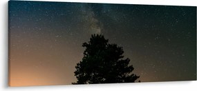 Obraz nočnej oblohy so stromami (120x50 cm)
