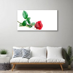 Skleneny obraz Ruže kvet rastlina 125x50 cm