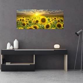 Obraz - Slnečnica pri západe slnka (120x50 cm)