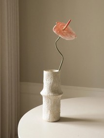 Rastlinná dekorácia Coral Anthurium