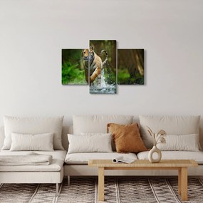 Obraz bežiaceho tigra (90x60 cm)