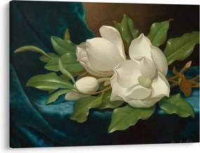 Obraz - Martin Johnson Heade, Giant Magnolias on a Blue Velvet Cloth, reprodukcia (70x50 cm)