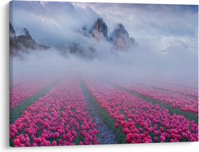 Obraz - Krajina s tulipánovými poľami (70x50 cm)
