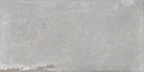 Obklad Detroit Ash 30x60 R