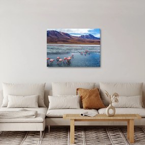 Obraz - Plameniaky (70x50 cm)