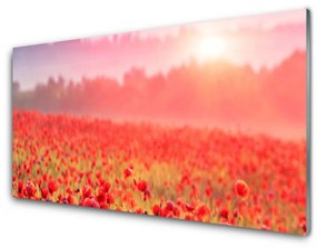 Obraz na akrylátovom skle Lúka kvety príroda 100x50 cm
