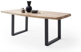 Jedálenský stôl Tiberias U IV Rozmer: 220 cm x 77 cm x 100 cm