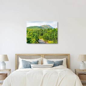 Sklenený obraz - Babi Hora, Poľsko (70x50 cm)
