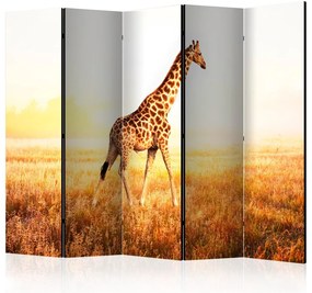 Artgeist Paraván - giraffe - walk [Room Dividers]