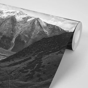 Samolepiaca fototapeta horská panoráma v čiernobielom - 450x300