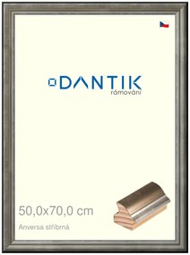 DANTIK rám na obraz 50x70 | ANIVERSA stříbrná (Plexi Čiré)