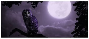 Obraz - Nočná sova, fialová (120x50 cm)