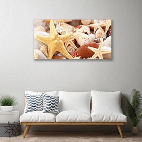 Obraz Canvas Hviezdice mušle pláž 140x70 cm