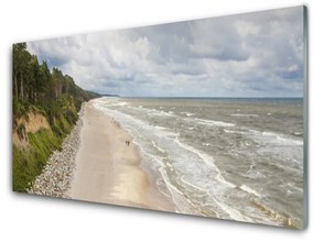 Obraz na skle Pláž more strom príroda 100x50 cm