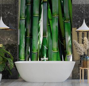 Gario Fototapeta Zelené bambusy Materiál: Vliesová, Rozmery: 100 x 140 cm